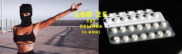 ГАЛЛЮЦИНОГЕННЫЕ ГРИБЫ Алзамай