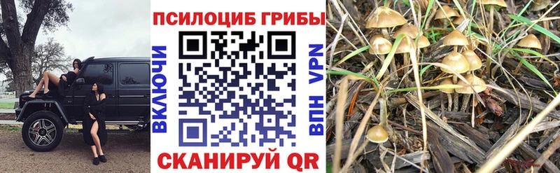 кракен ТОР  Южно-Сухокумск  Галлюциногенные грибы мухоморы 